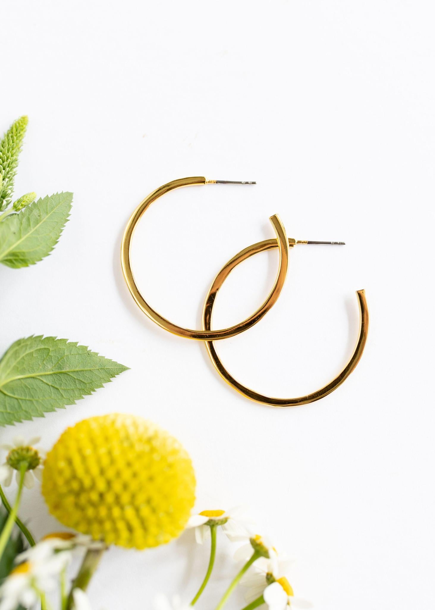 Medium Hoops | Silver or Gold