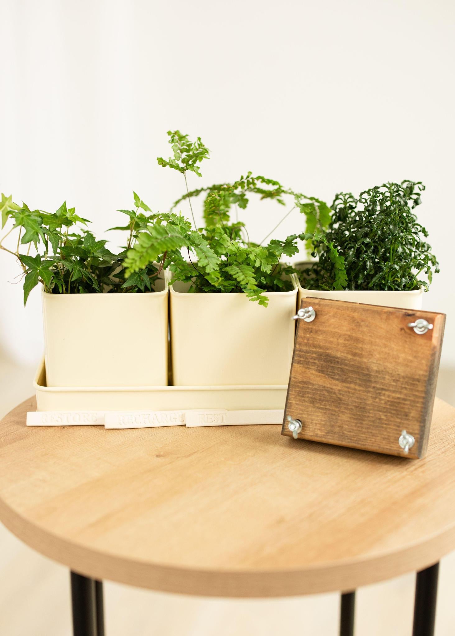 Rest | Curated Box