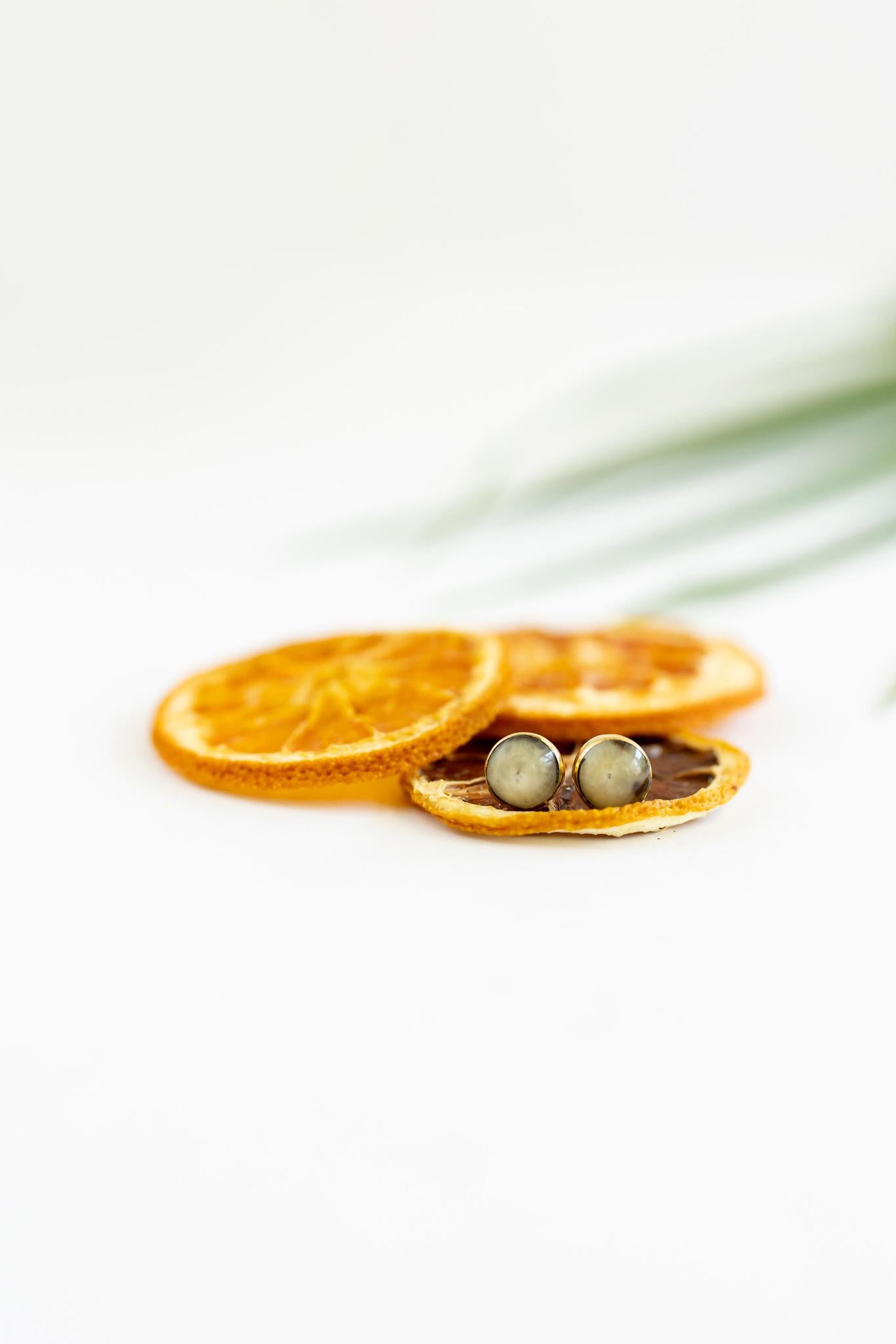 Brass + Horn Circle Stud Earrings