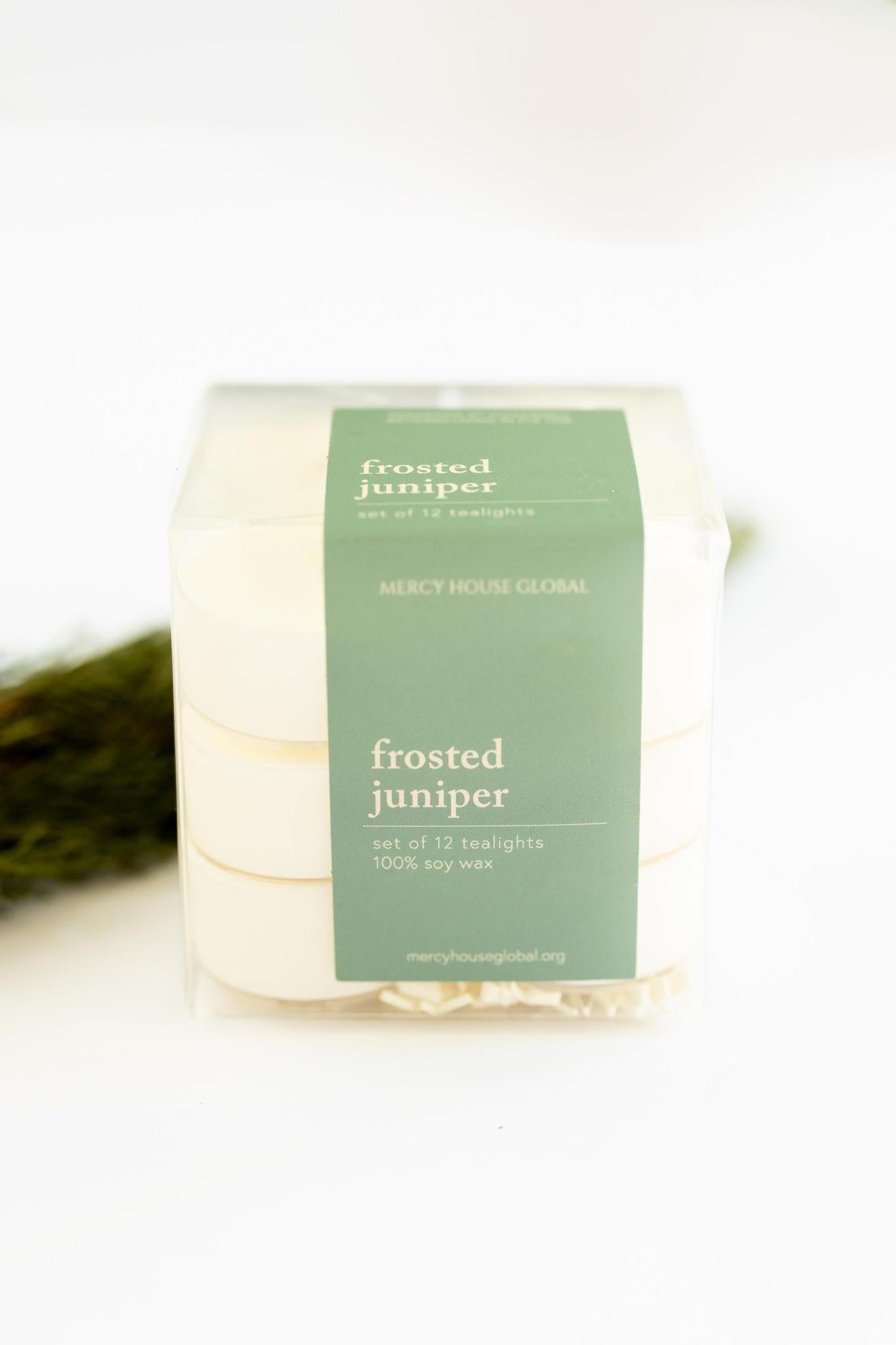 Brass Tealight Holders + FREE Frosted Juniper Tealights