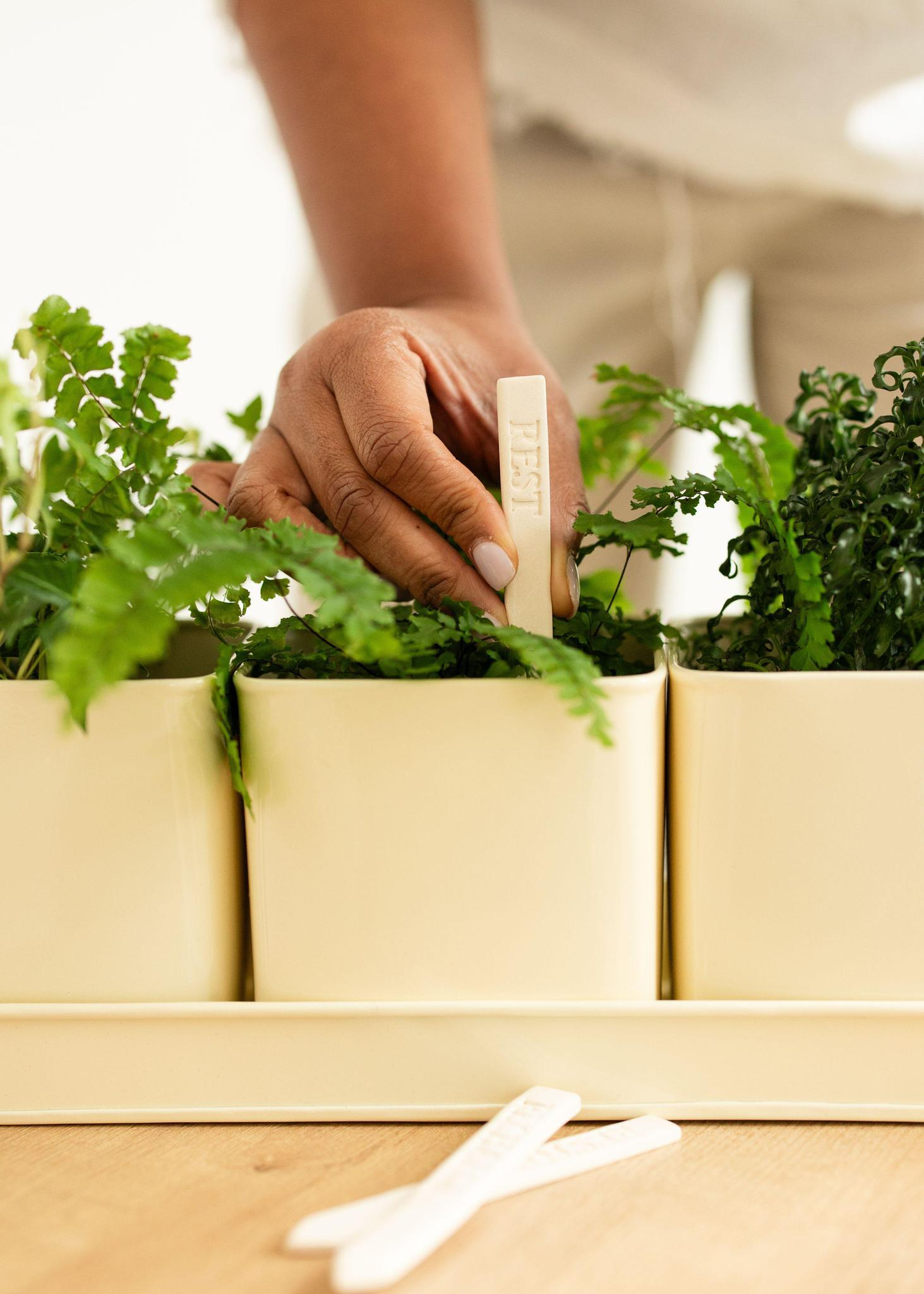 Window Planter Trio and Tray + Ceramic Garden Stakes | Set of 3