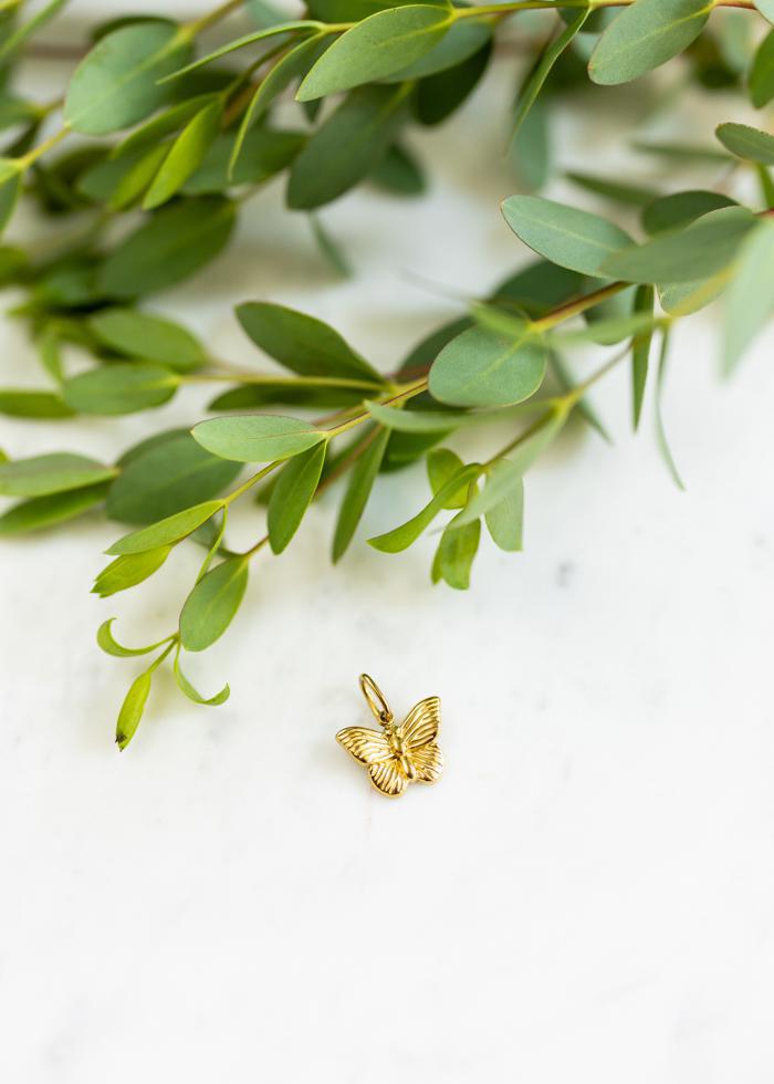 Butterfly Restore Charm