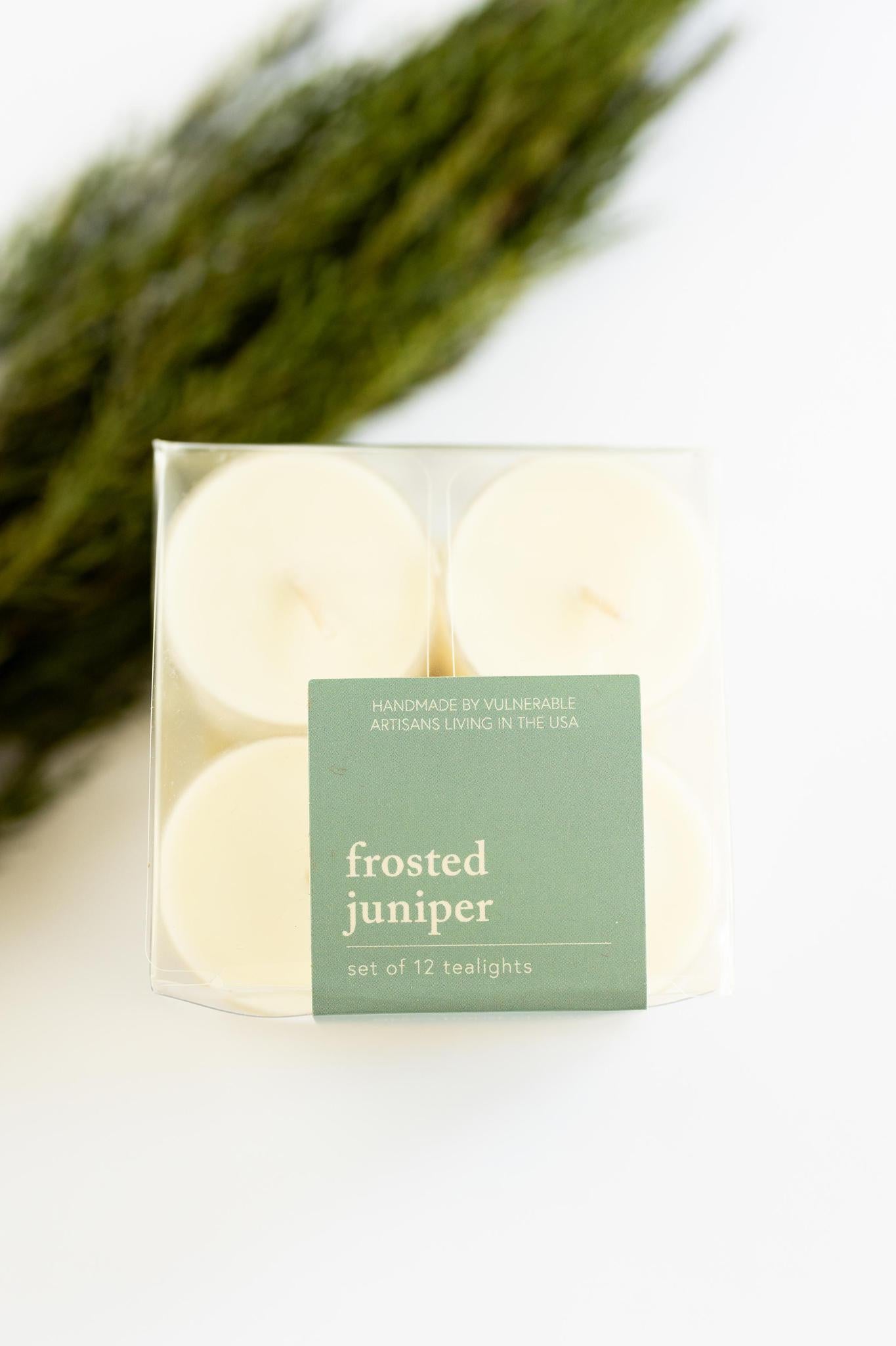 Brass Tealight Holders + FREE Frosted Juniper Tealights