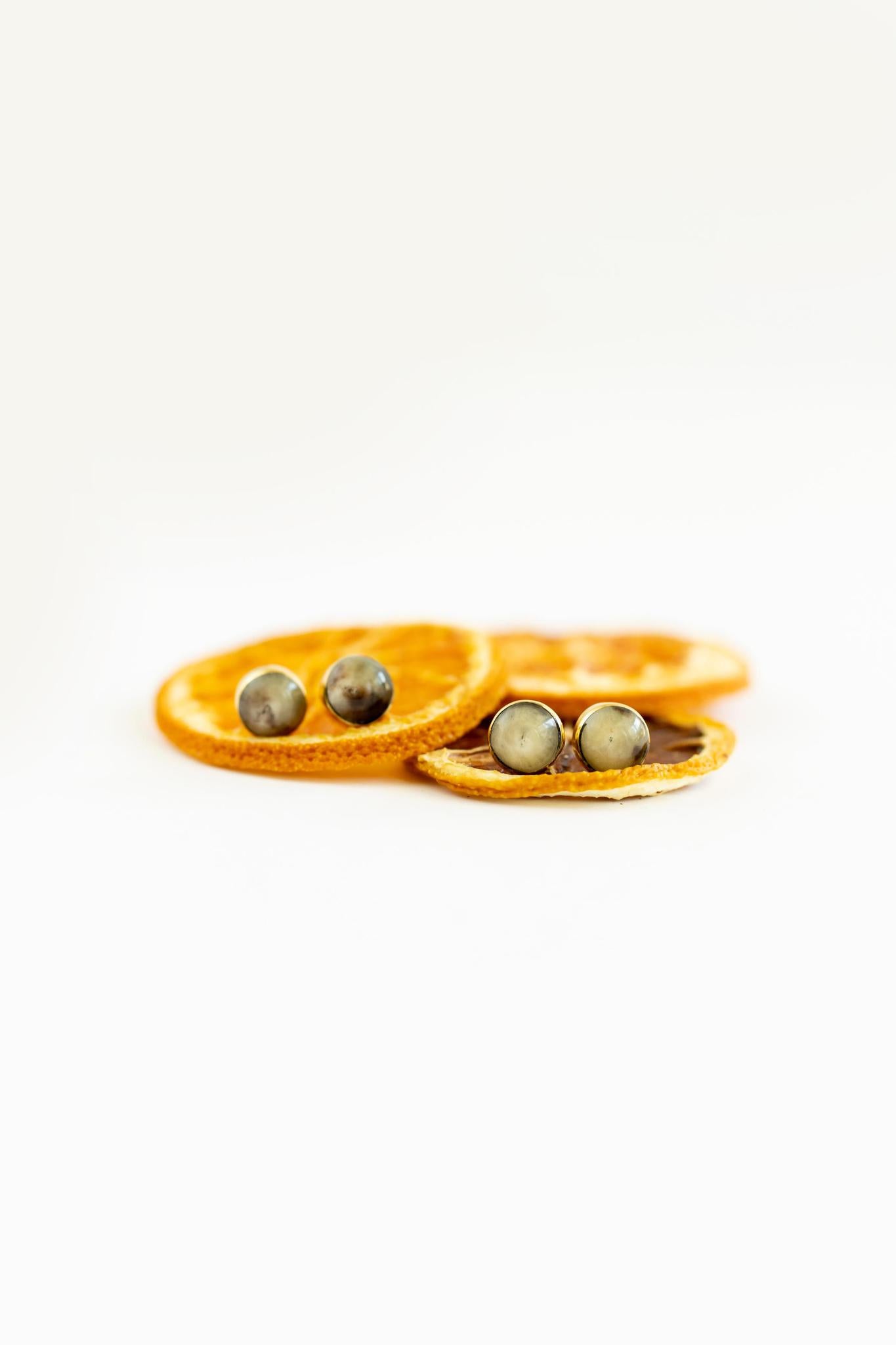 Brass + Horn Circle Stud Earrings