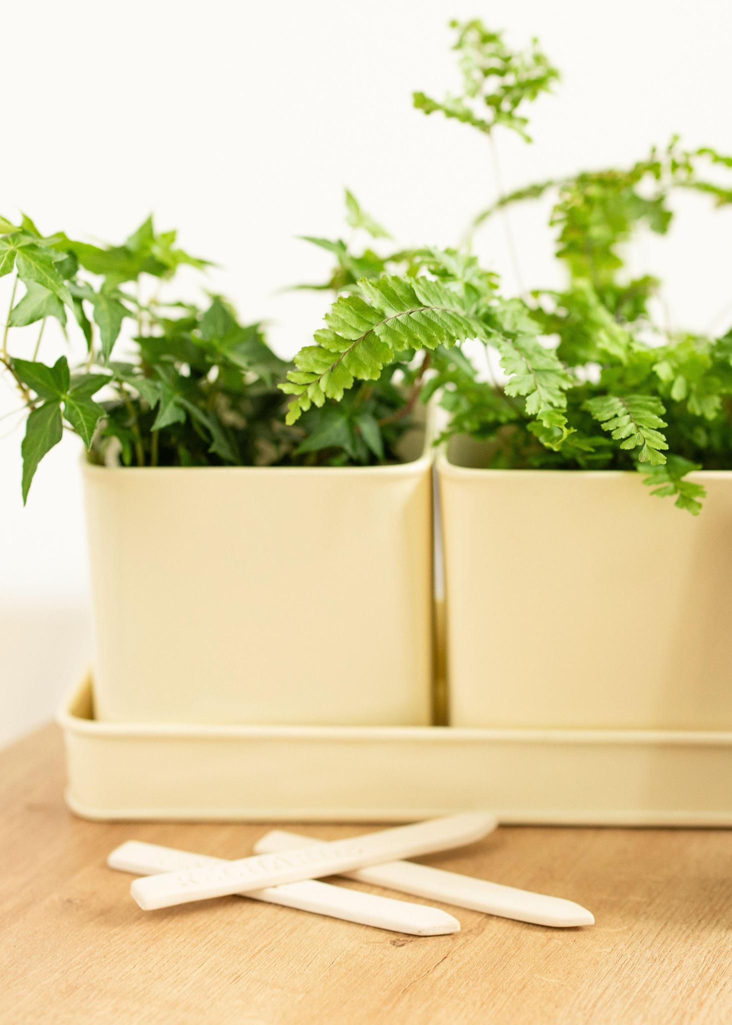 Window Planter Trio and Tray + Ceramic Garden Stakes | Set of 3