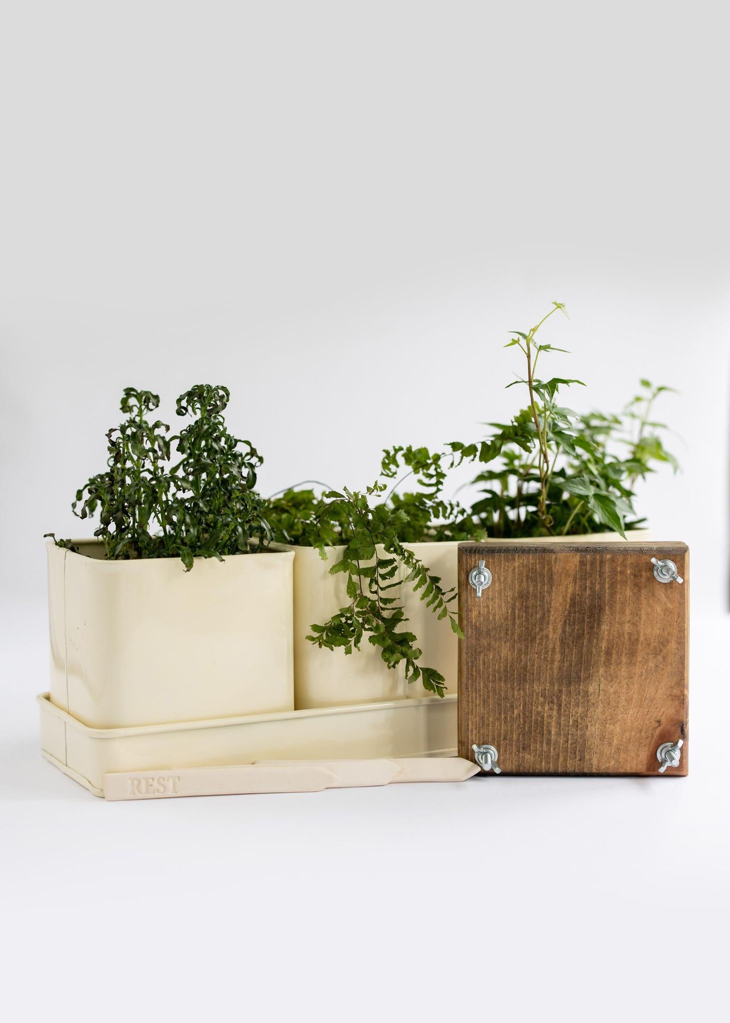 Rest | Curated Box