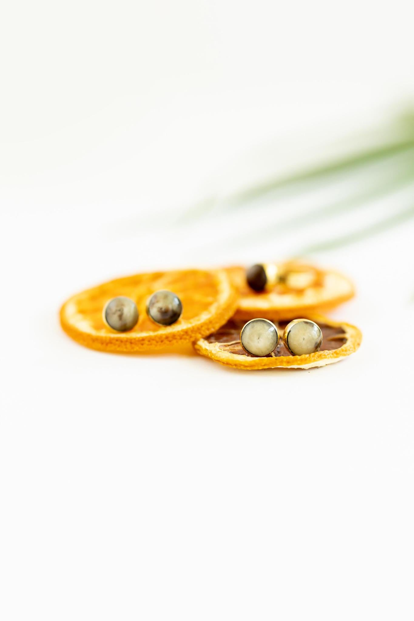 Brass + Horn Circle Stud Earrings