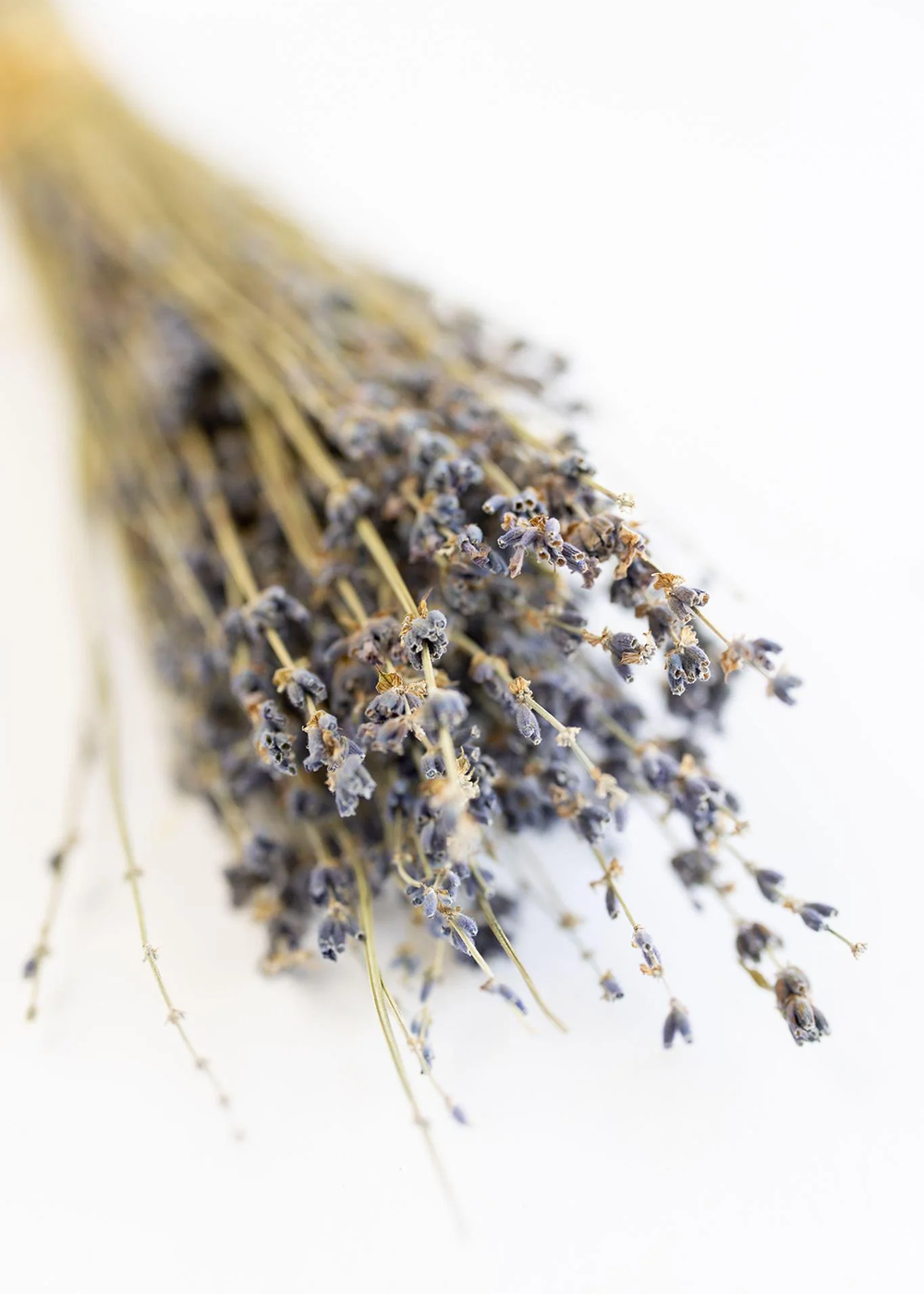 Lavender | 7 oz. Sugar Scrub - Mercy House Global