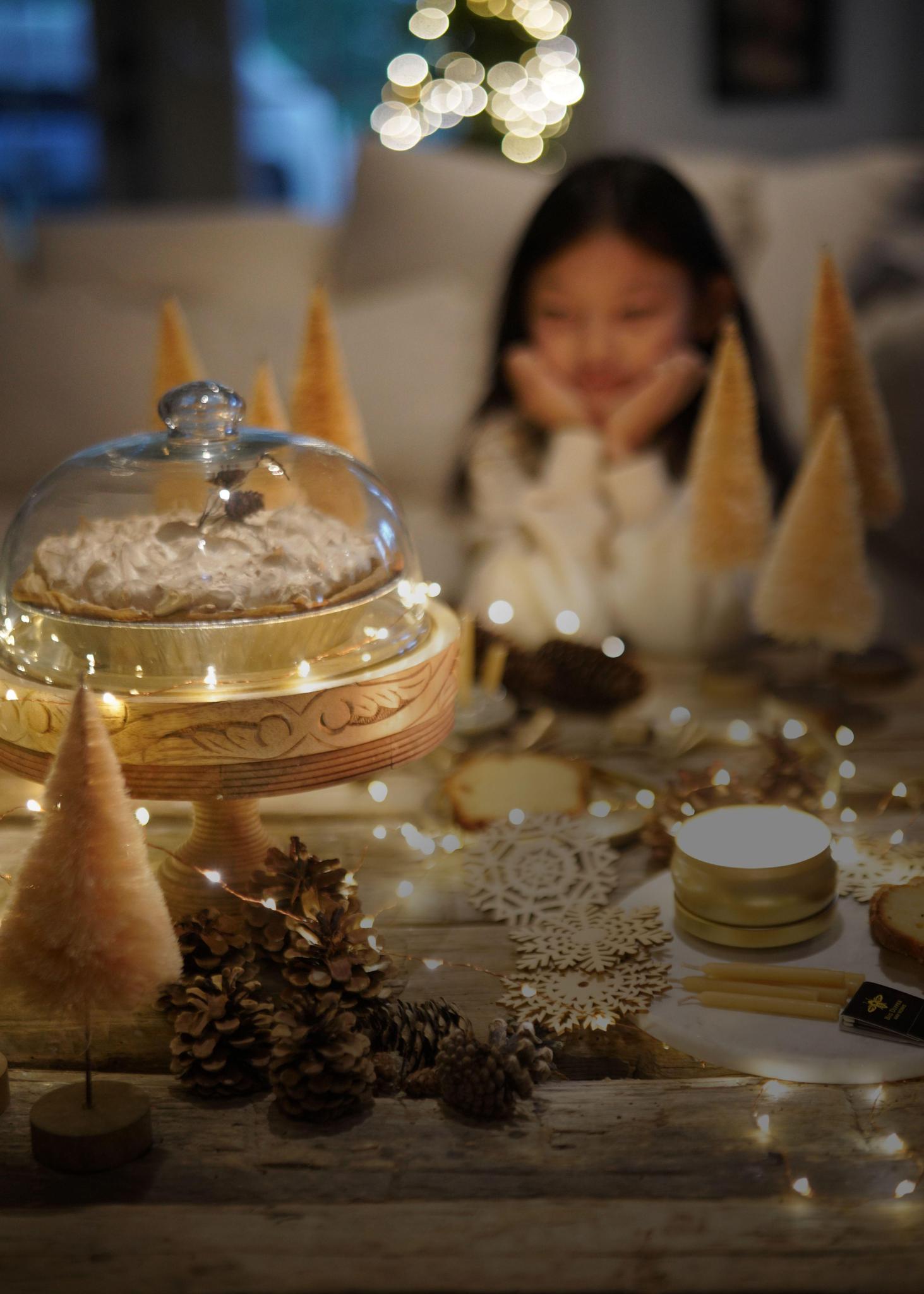 Cake Stand with Glass Dome