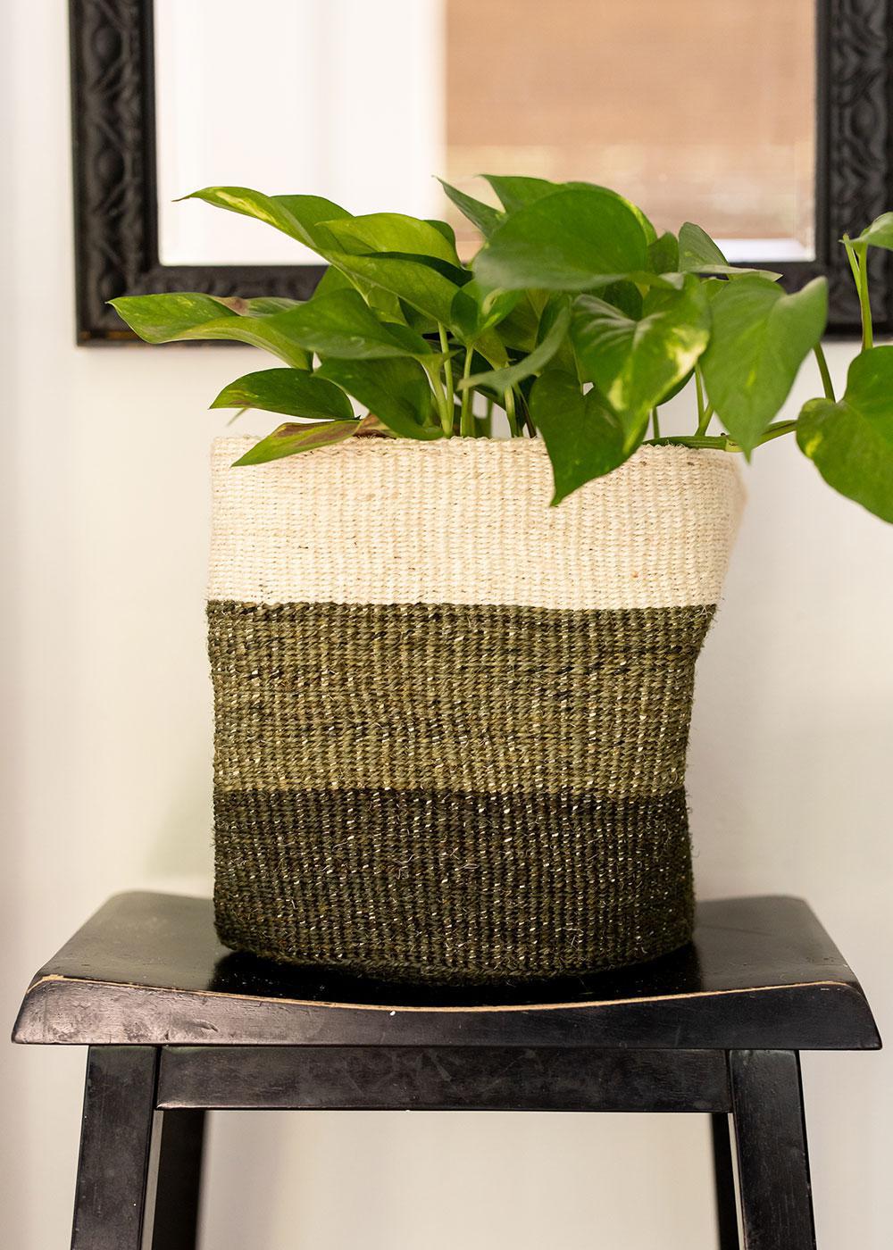 Sage Sisal Basket