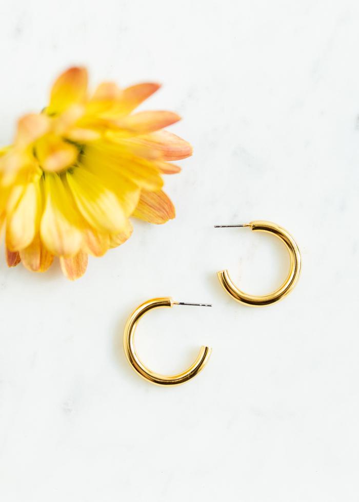 Chunky Hoops