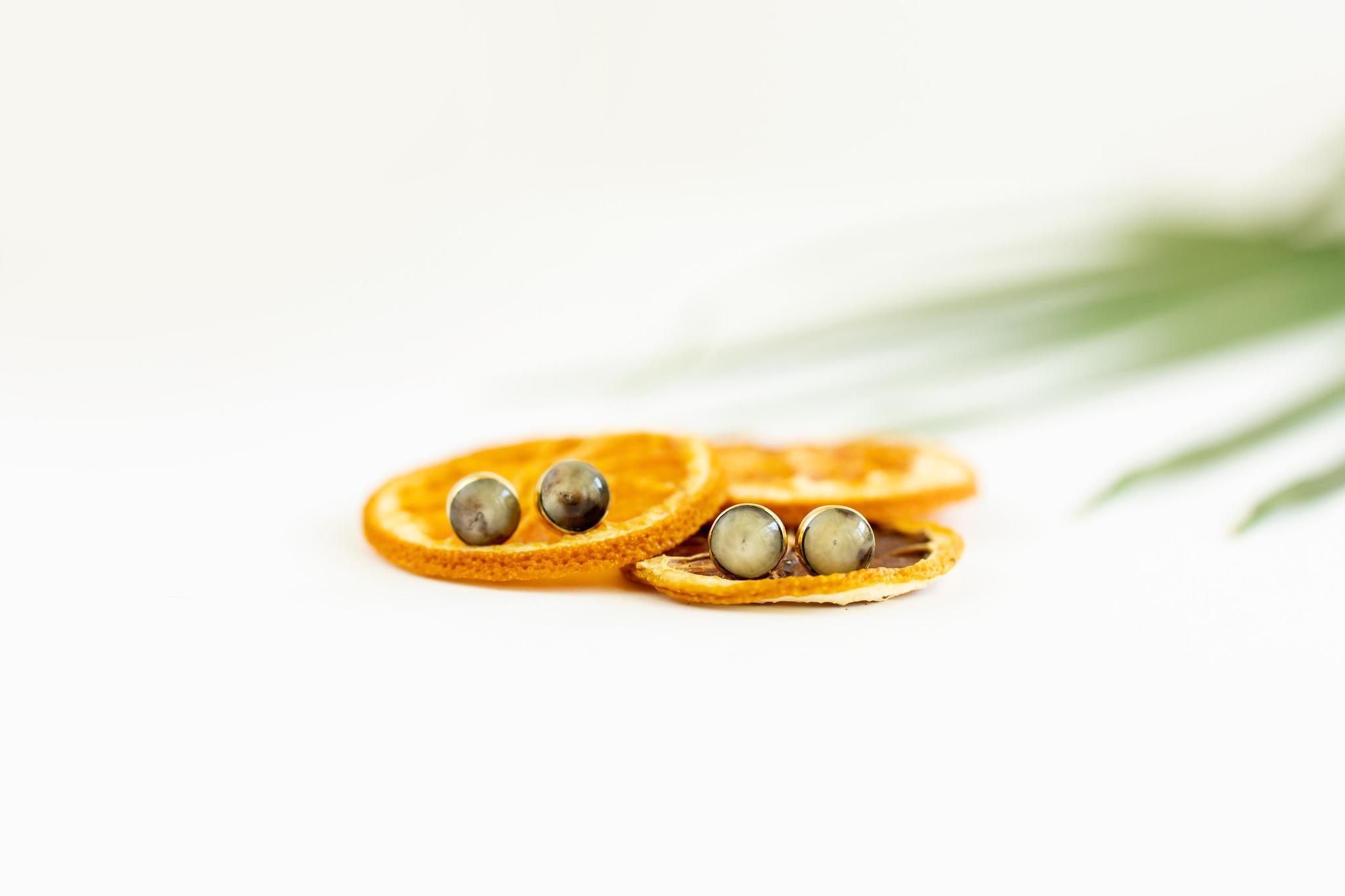 Brass + Horn Circle Stud Earrings