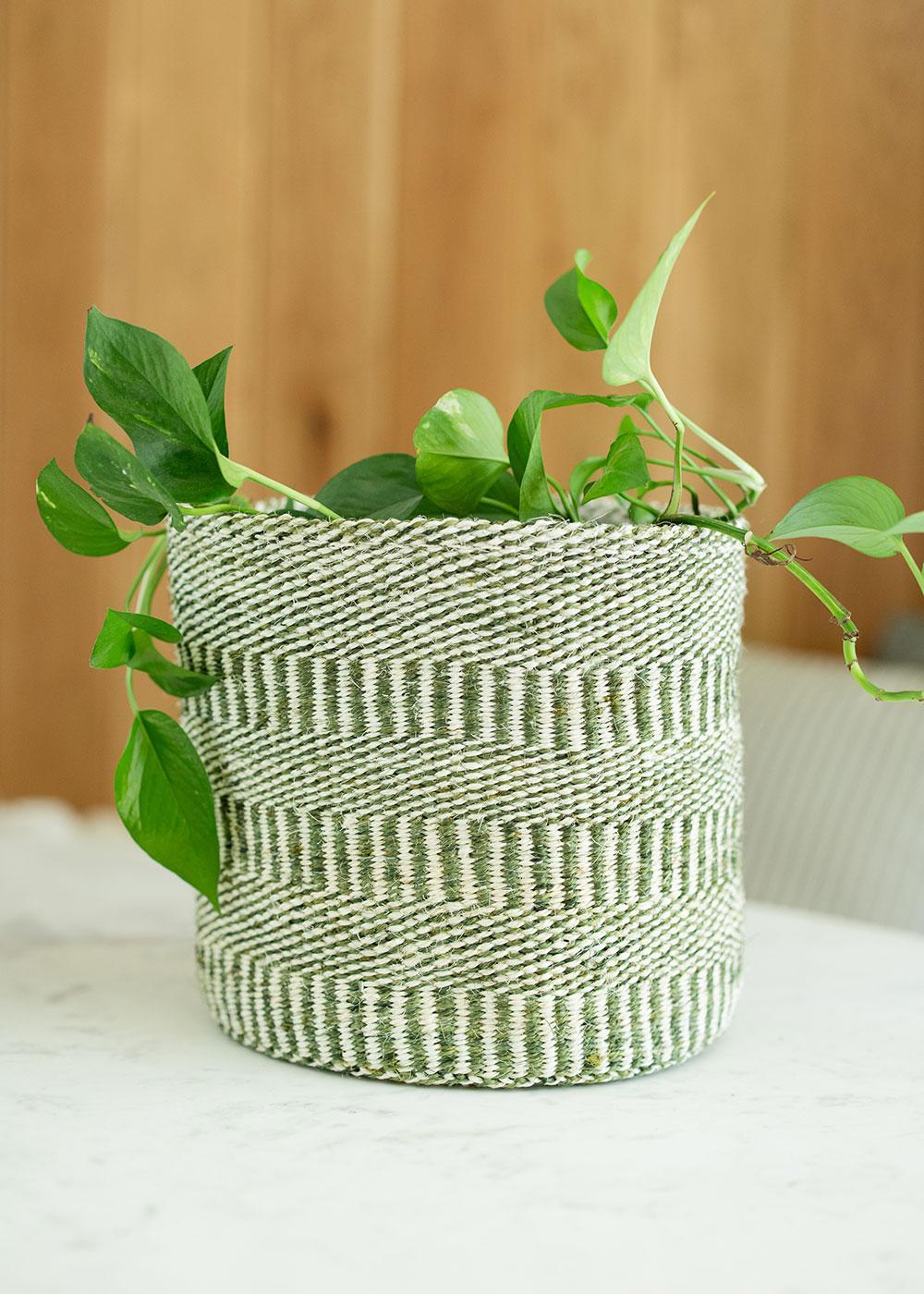 Sage Sisal Basket