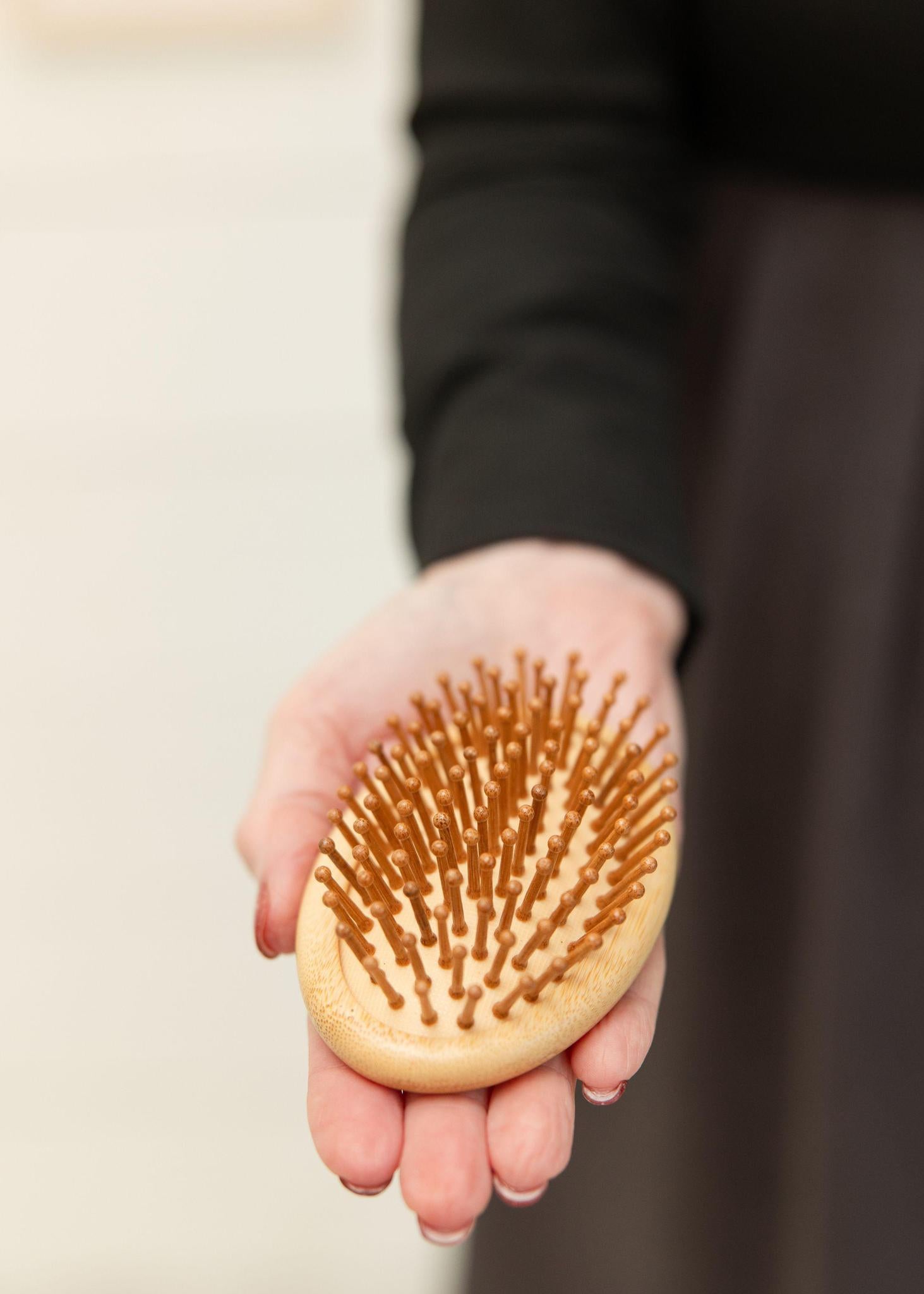 Travel Hair Brush