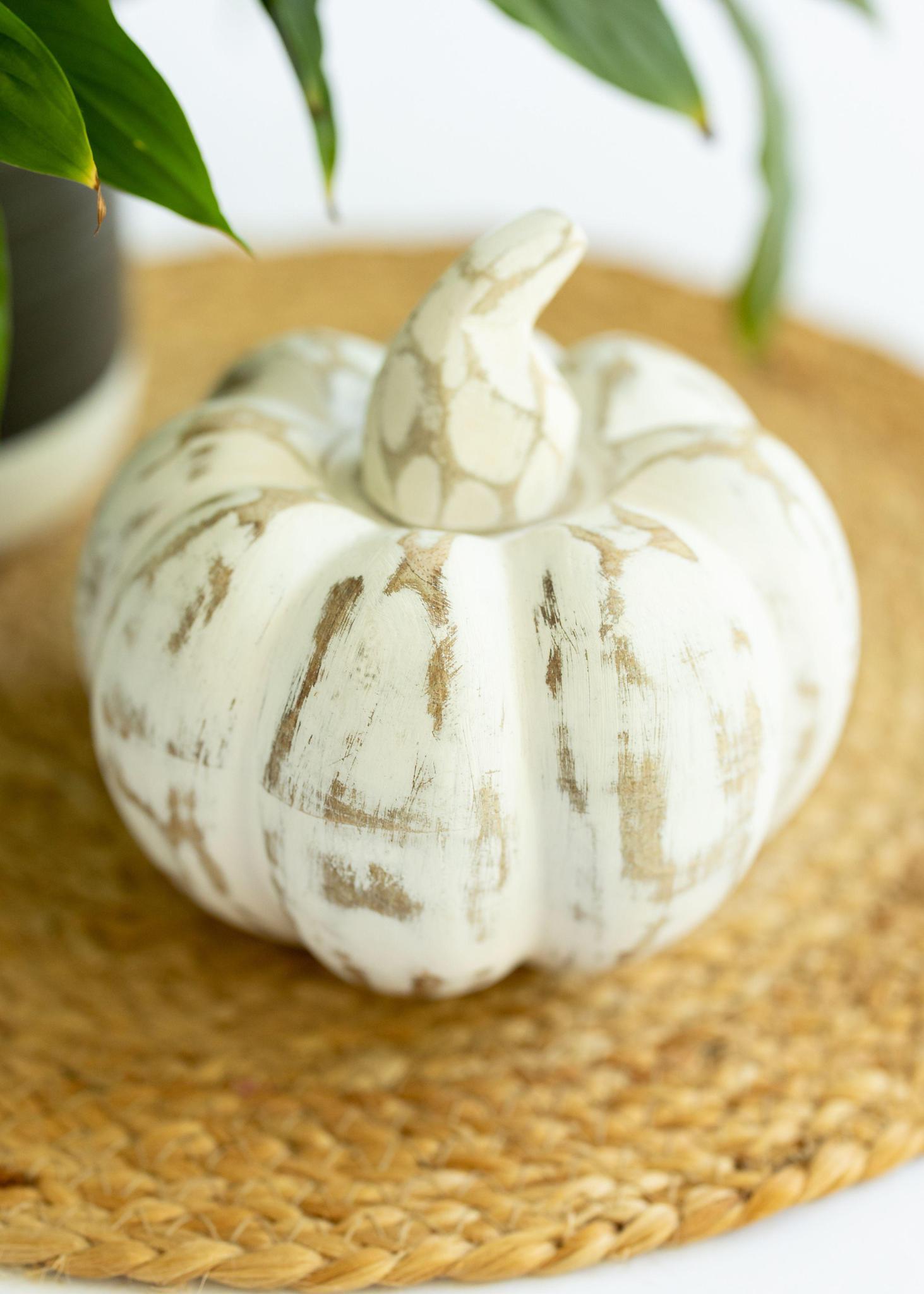 Small White Pumpkin